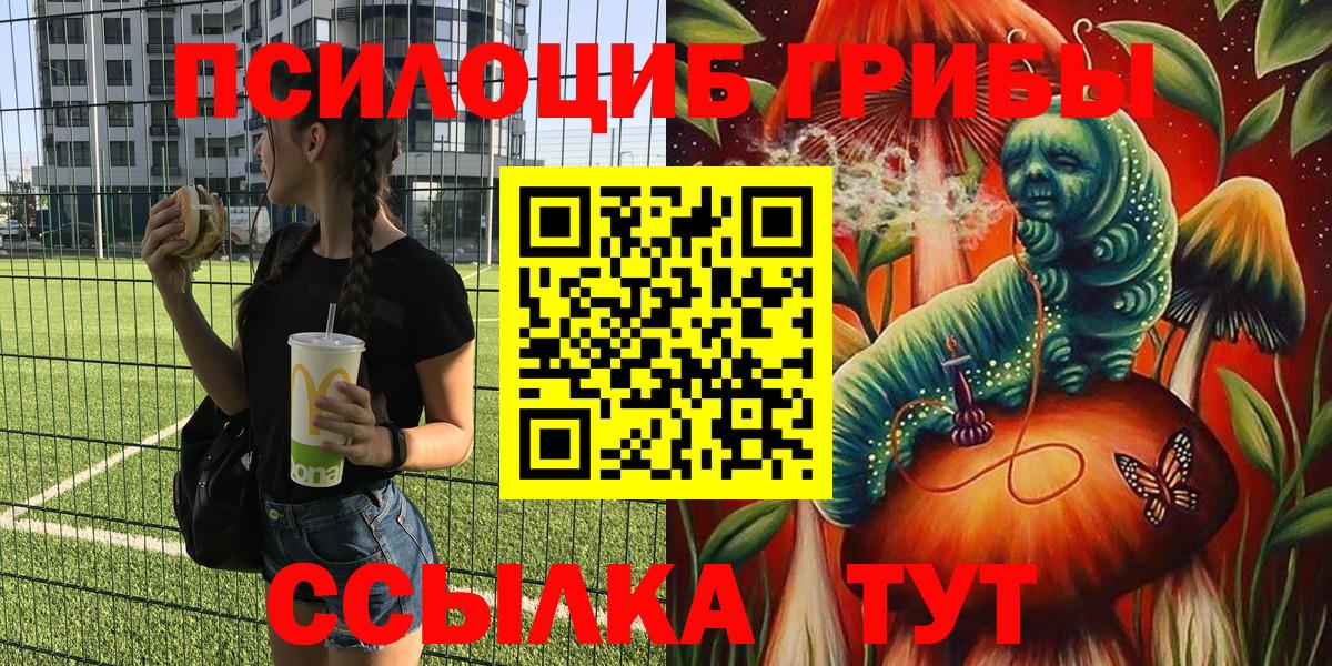 Биробиджан  Галлюциногенные грибы Psilocybe  Псилоцибиновые грибы мицелий  Вход с VPN 